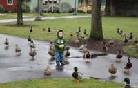 Andrew with ducks at park
