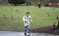 Mark with ducks at park